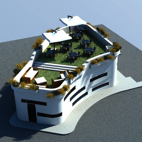 Project image